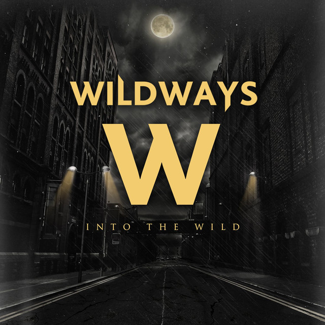 Into The Wild cover