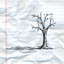 Winter cover