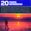 20 Peaceful Instrumentals Albumcover