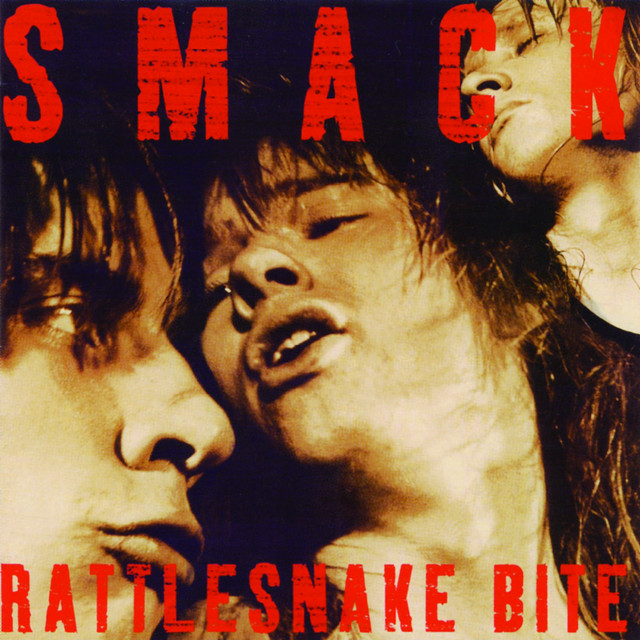 Rattlesnake Bite cover