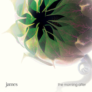 The Morning After cover