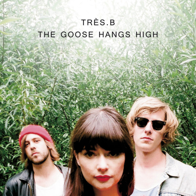 The Goose Hangs High cover