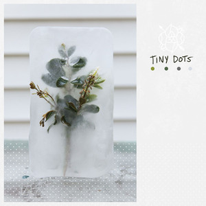 Tiny Dots album