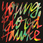 Youngblood Hawke cover