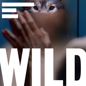 Wild Soundtrack cover