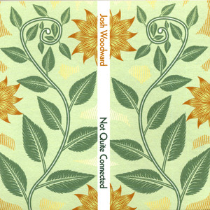 Not Quite Connected cover