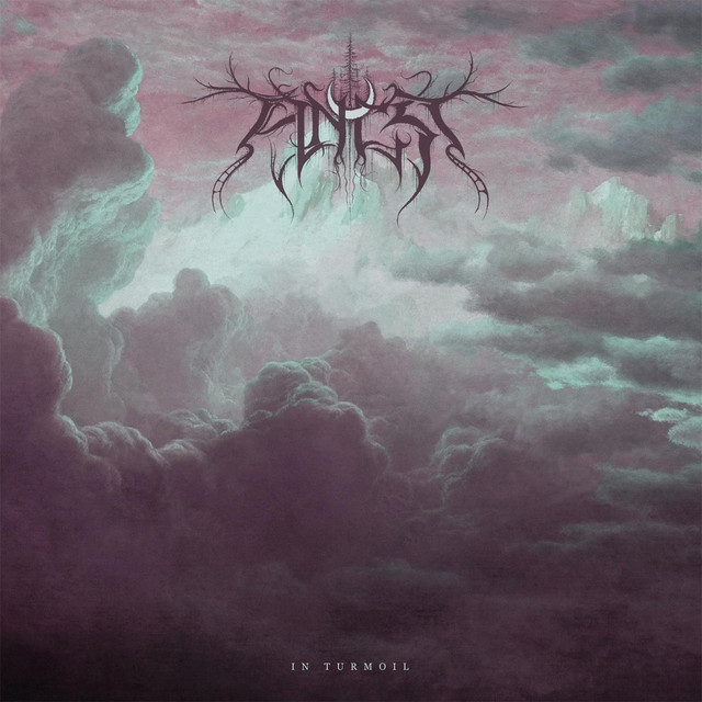 In Turmoil cover