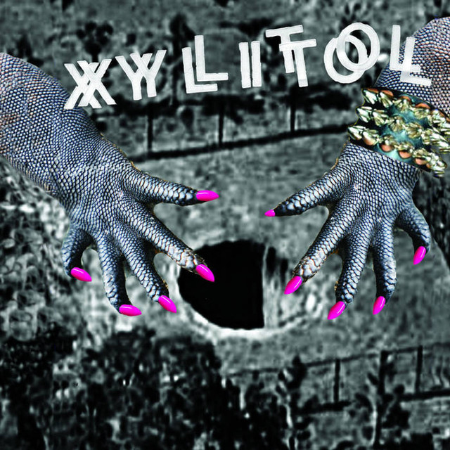 Xylitol Photo