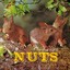 Nuts Albumcover