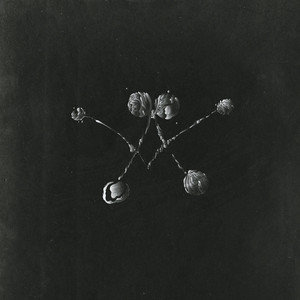 Nowhere Now (Bonus Track Version) cover