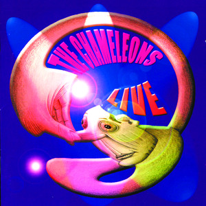 Live at The Academy Vol. 2 album