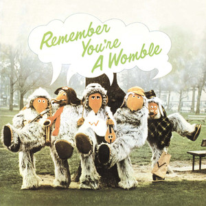 Remember You're A Womble cover