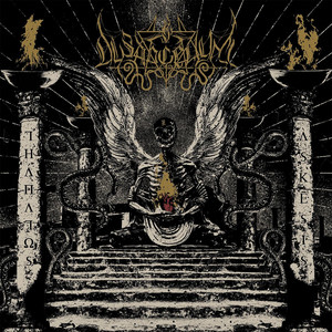 Dysangelium Photo