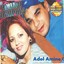 Houari Dauphin & Adel Amine Albumcover