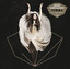Terra - Platinapainos cover