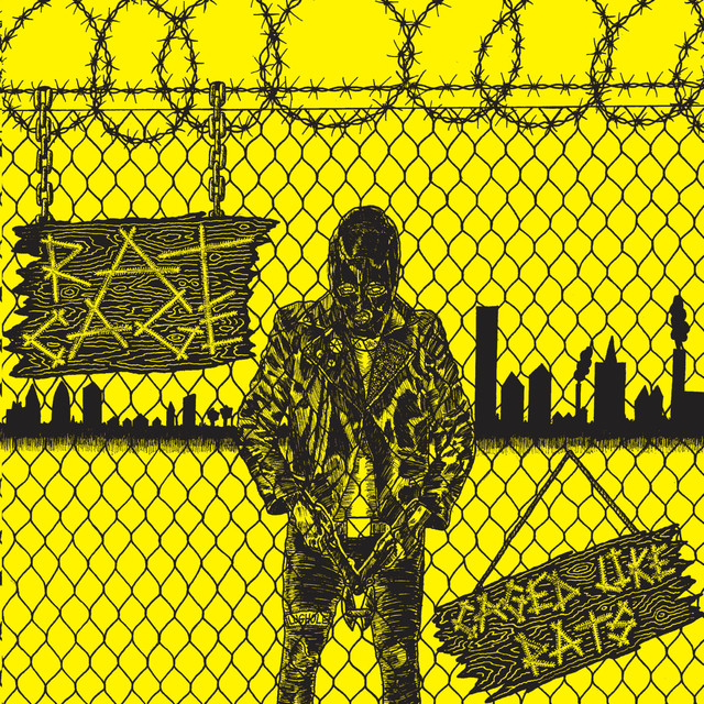 Rat Cage Photo
