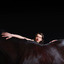 Bring Me the Workhorse cover