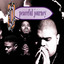 Peaceful Journey cover