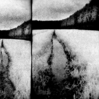 Tenebrous Liar Photo
