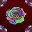 Chemical Disturbance cover