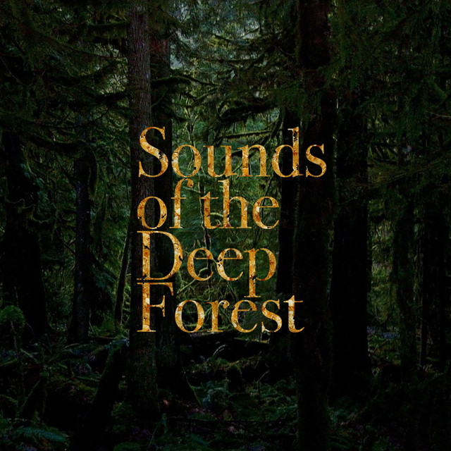 Deep Sounds Photo