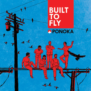 Built to Fly cover