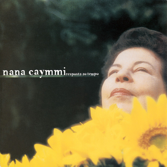 Nana Caymmi Photo
