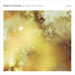 A través del espejo cover