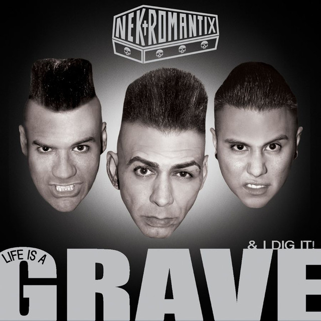 Life Is A Grave And I Dig It cover