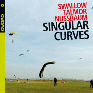 Singular Curves album