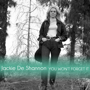 You Wont Forget It cover