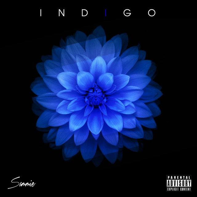 Indigo Albumcover