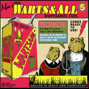 Warts & All Vol. 5 (Live) cover