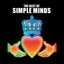 The Best of Simple Minds cover