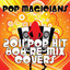 2011 Pop Hit 808 Re-Mix Covers Albumcover