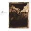 Surfer Rosa (Remastered) cover