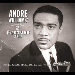 A Fortune of Hits album