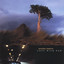 Lost With Neb Albumcover