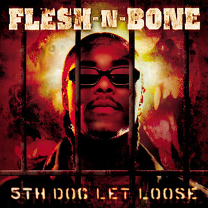 The Fifth cover