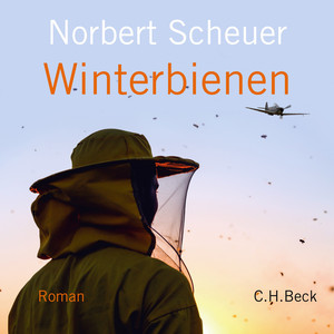 Winterbienen (Roman)