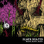 Sleep Sleep Sleep Albumcover