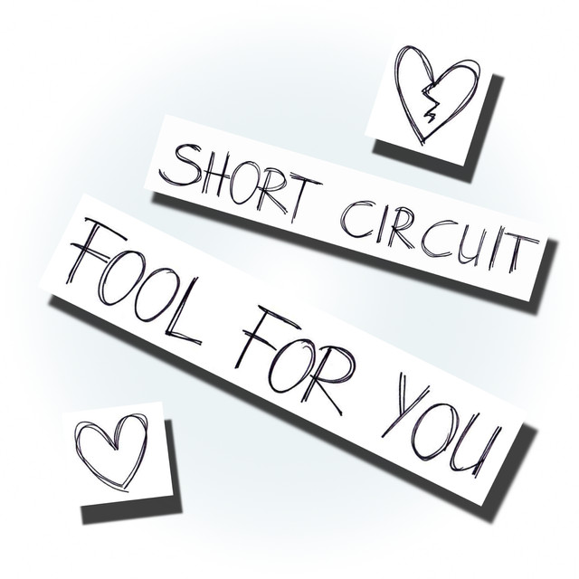 Short Circuit photo