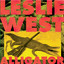 Alligator Albumcover