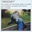 Groovey cover