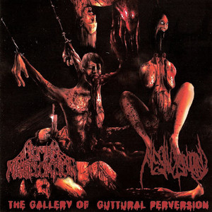 Worship Slaves Extermination cover