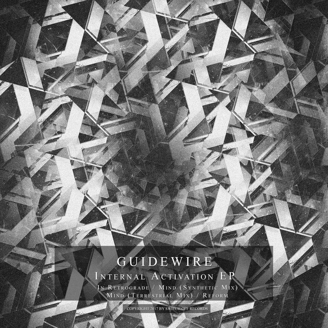 Guidewire Photo