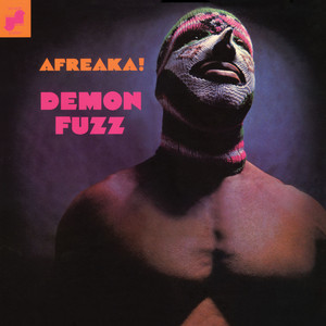 Afreaka! cover