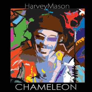 Chameleon cover
