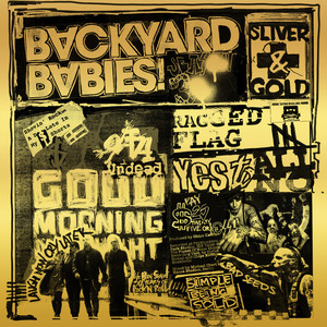 Sliver And Gold cover