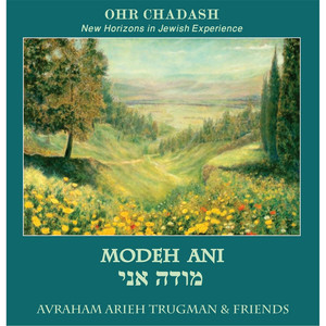 Avraham Arieh Trugman & Friends